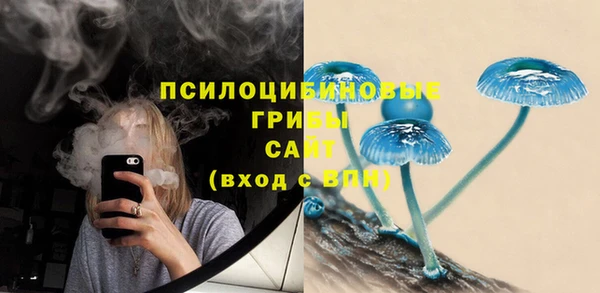 бутират Горнозаводск