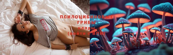 apvp Горняк