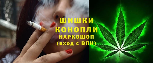 ПСИЛОЦИБИНОВЫЕ ГРИБЫ Горно-Алтайск