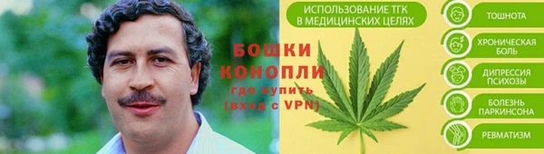 apvp Горняк
