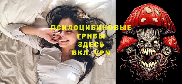 ПСИЛОЦИБИНОВЫЕ ГРИБЫ Горно-Алтайск