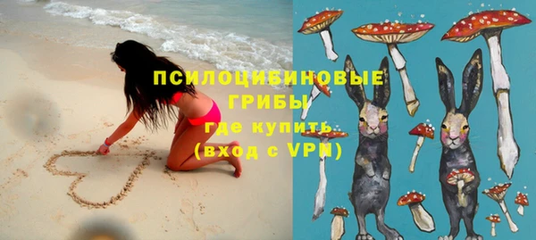 бутират Горнозаводск