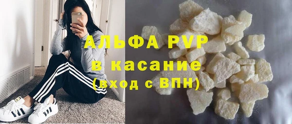ПСИЛОЦИБИНОВЫЕ ГРИБЫ Горно-Алтайск