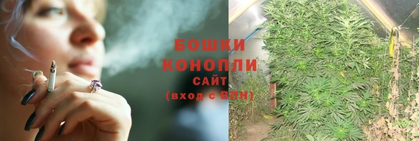 бутират Горнозаводск