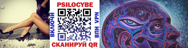 Псилоцибиновые грибы Cubensis  Купить закладки  Заполярный 